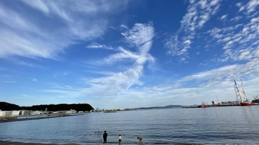 横須賀市久里浜で犬と子供と浜遊び