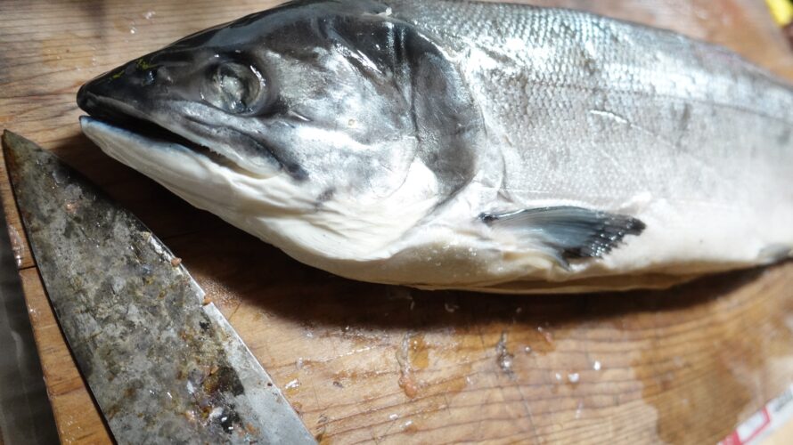 大きな鮭を丸々1匹ゲット！切り分け方と食べ方色々レシピ